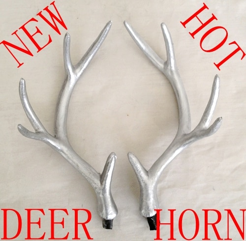   antler horn